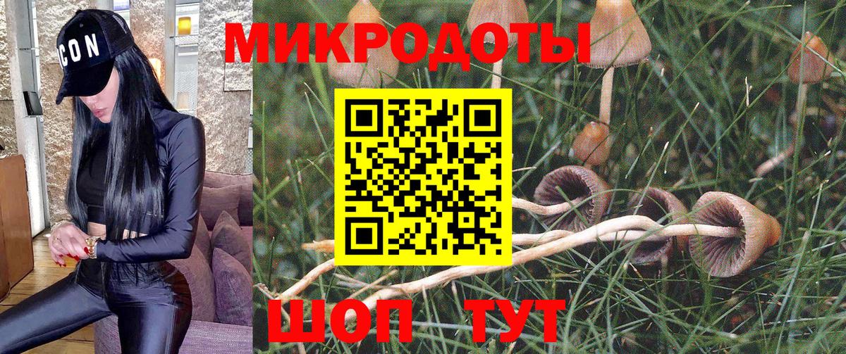 Алексеевка  Галлюциногенные грибы Psilocybe  Вход с VPN 